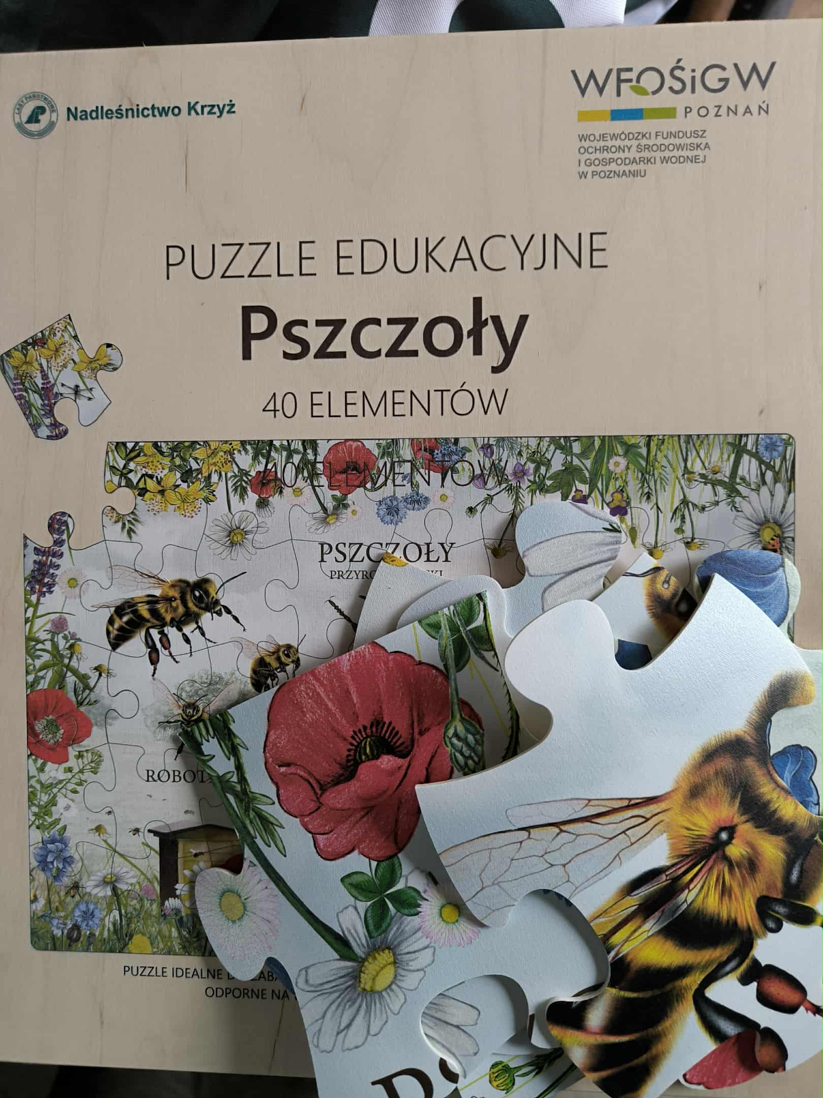 Dofinansowanie w 2025 roku z WFOŚiGW w Poznaniu