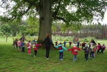 Wycieczka przedszkolaków do lasu