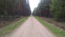 Regulaminy korzystania z dróg leśnych